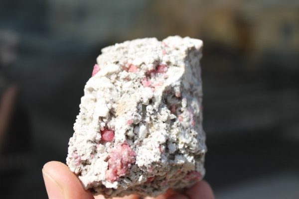 Grapefruit Pink  GRANAT xx – Bild 2