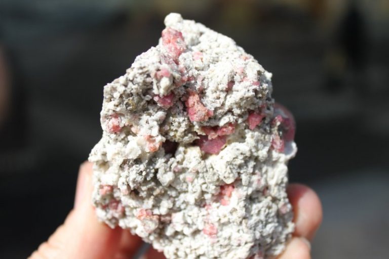 Grapefruit Pink  GRANAT xx