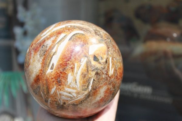 Groﬂe KUGEL aus Versteinerten Holz - Image 2