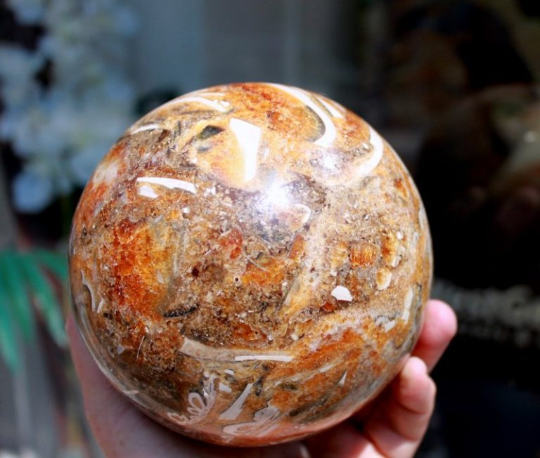Groﬂe KUGEL aus Versteinerten Holz