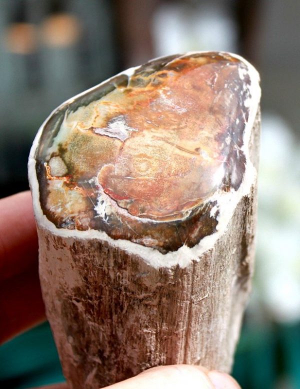 AMETHYST tw.AMETRIN  x – Bild 3