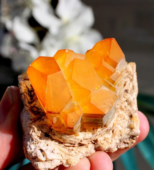 Gelber CALCIT  xx  -  BLEIBERG - Image 3