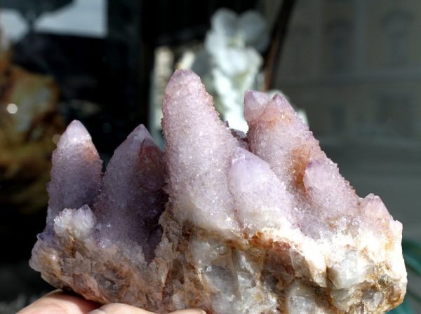 KAKTUSQUARZ  xx  -  AMETHYST - Image 2