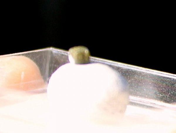 GELBGRÜNER DIAMANT x SIERRA LEONE – Bild 3