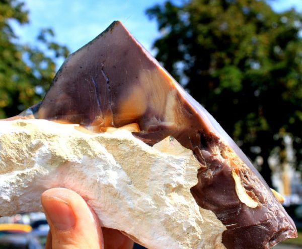Mookait - Australien – Bild 2
