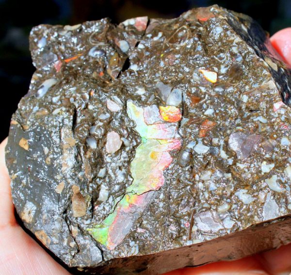 TOPRARITÄT - MUSCHELMARMOR/BLEIBERG – Bild 3
