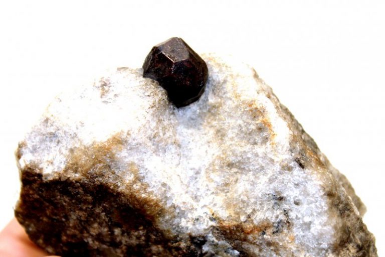 Perfekter SPESSARTIN GRANAT- KORALPE