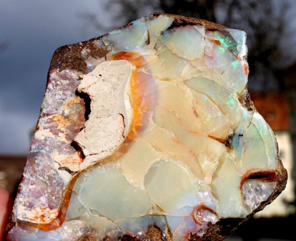 OPAL - QUEENSLAND/ - 画像2