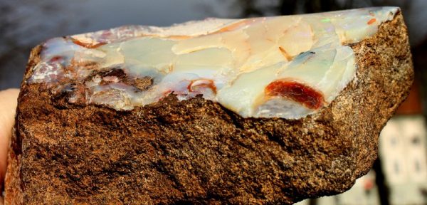 OPAL - QUEENSLAND/ - 画像3