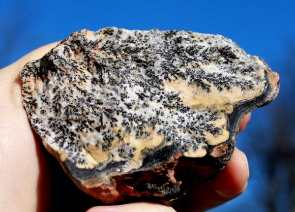 Dendriten - CALCIT – Bild 3