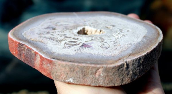 Titea Singularis – Bild 3