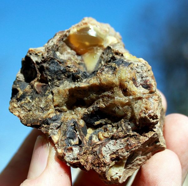 OPAL - Burgenland – Bild 2
