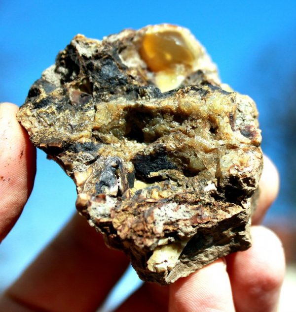 OPAL - Burgenland – Bild 3