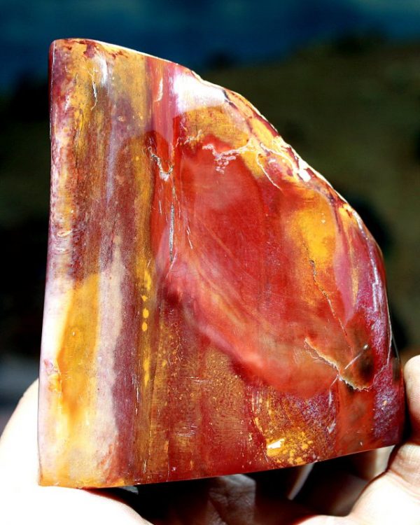 Verst. HOLZ - TOP POLITUR – Bild 2