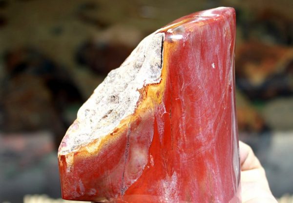 Verst. HOLZ - TOP POLITUR – Bild 3