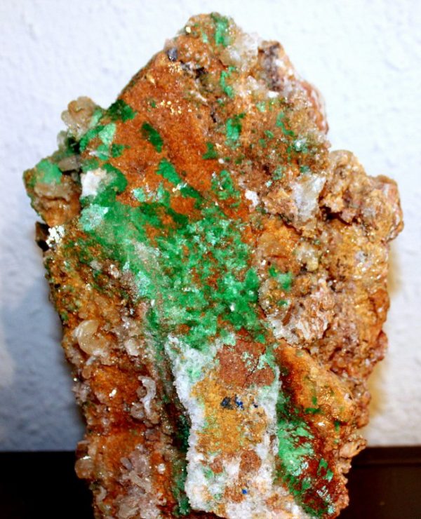 Falkenauge  AA – Bild 2
