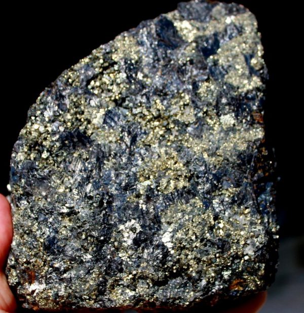Verst. BAUMFARN – Bild 2