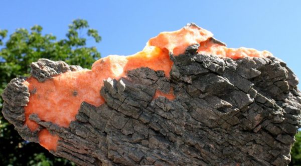 Roter GIPSSPAT - Höllgraben - Image 3