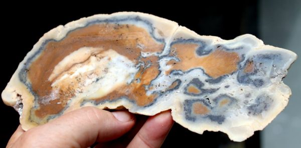 SCHALENBLENDE - BLEIBERG – Bild 3