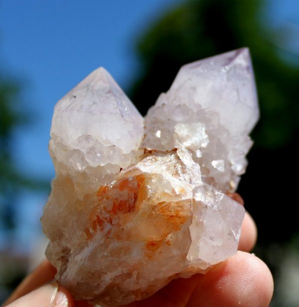KAKTUSQUARZ  xx Amethyst – Bild 2