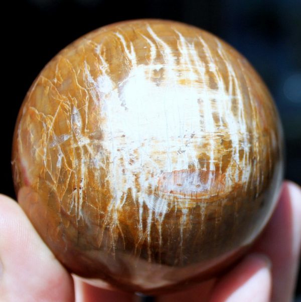 Kugel - Versteinertes HOLZ - Image 2