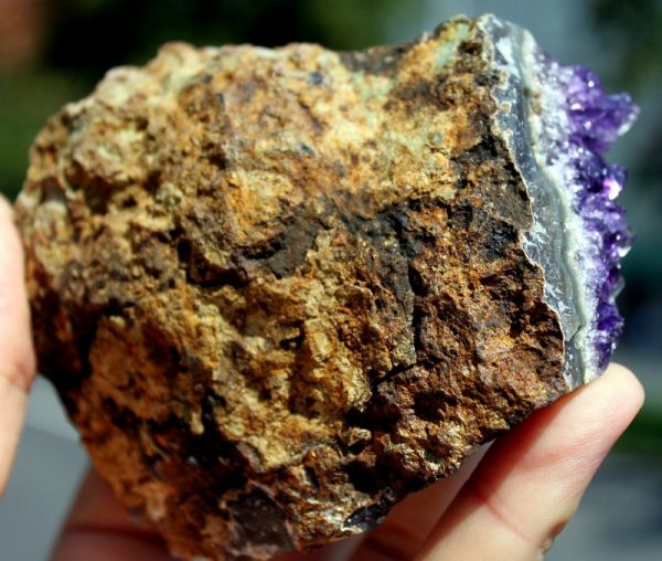 AMETHYST xx - ARTIGAS - 画像3