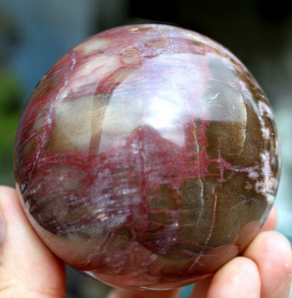 DEKO KUGEL - VERST.HOLZ - Image 3