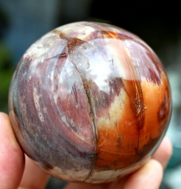 DEKOKUGEL - VERST:HOLZ – Bild 2