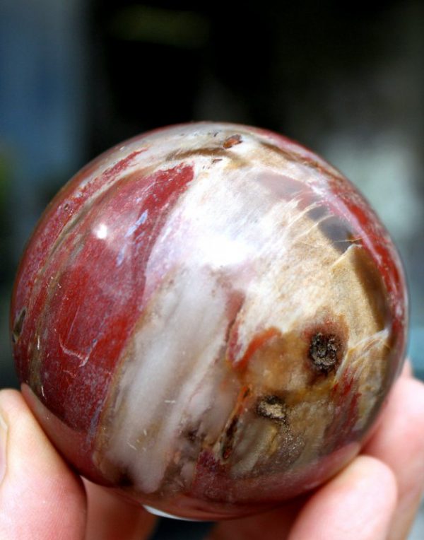KUGEL _ VERST.HOLZ - Madagaskar – Bild 2