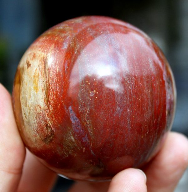 KUGEL _ VERST.HOLZ - Madagaskar – Bild 3