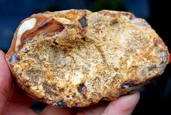 Polierter FEUERSTEIN - Madagaskar – Bild 3