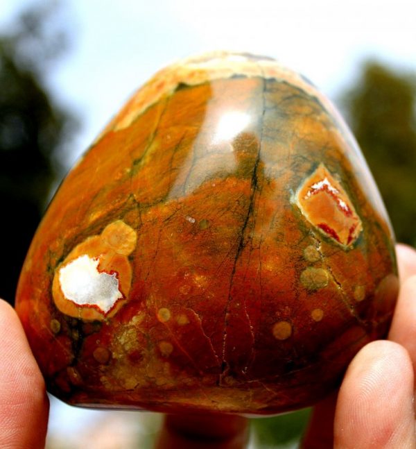 " REGENWALD"  RHYOLITH - Australien - Image 2