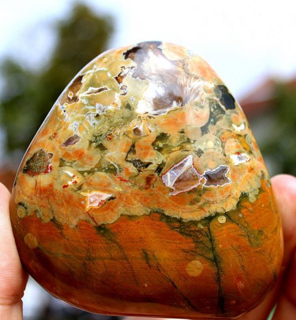 " REGENWALD"  RHYOLITH - Australien - Image 3