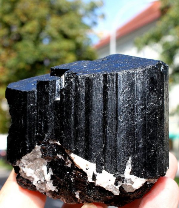 SCHWARZER TURMALIN  XX - Image 2