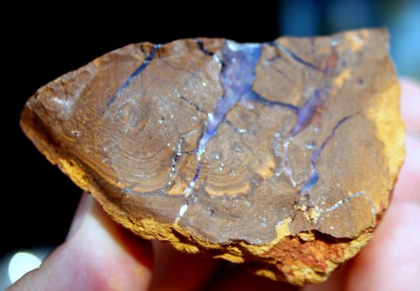 Australien BOULDER OPAL - ROH - 画像2