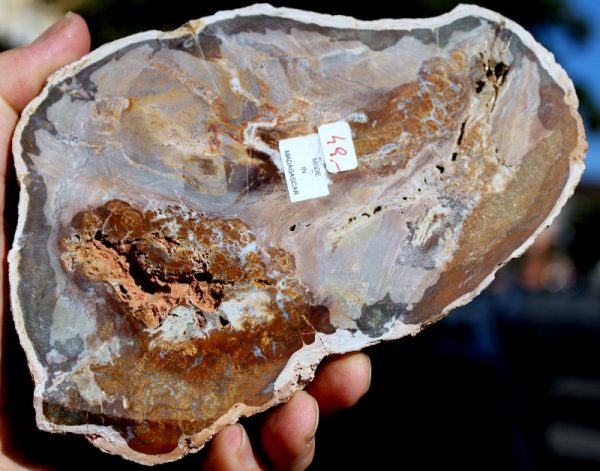 Verst. HOLZ - Madagaskar - Image 2