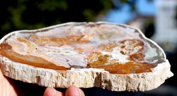 Verst. HOLZ - Madagaskar - Image 3