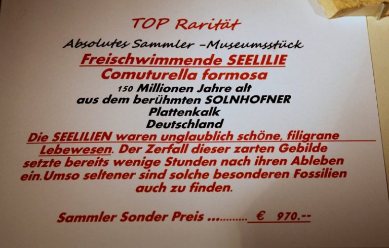 TOPRARITÄT: SEELILIE - SOLNHOFEN