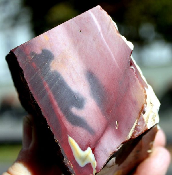 1 A  Mookait - Australien - Image 3