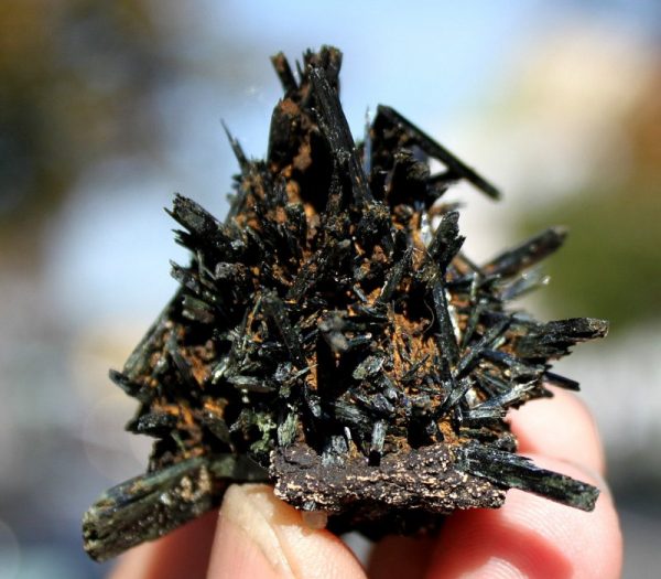 AEGIRIN xx Cluster – Bild 2