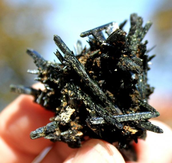 AEGIRIN xx Cluster – Bild 3