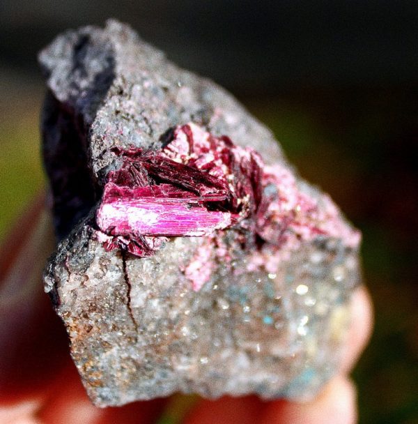 KOBALTBLÜTE - ERYTHRIN xx – Bild 2