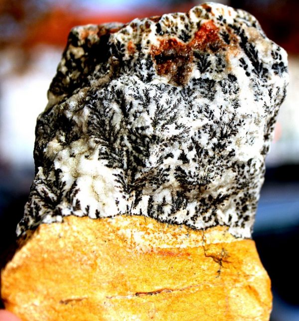"BÄUMCHEN " CALCIT – Bild 2