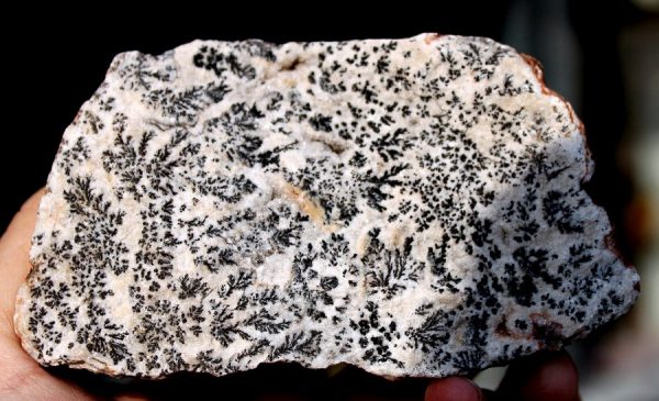 DENDRITEN CALCIT - Image 2