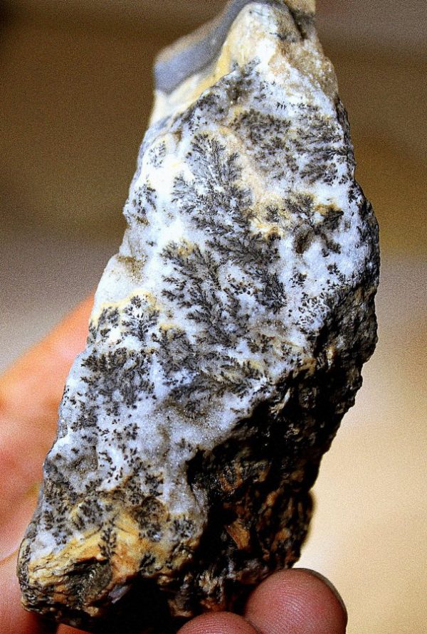DENDRITEN CALCIT - NORD AFRIKA - 画像2