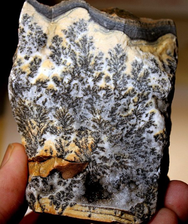 DENDRITEN CALCIT - NORD AFRIKA - 画像4