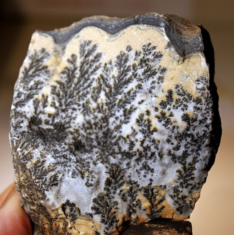 DENDRITEN CALCIT - NORD AFRIKA