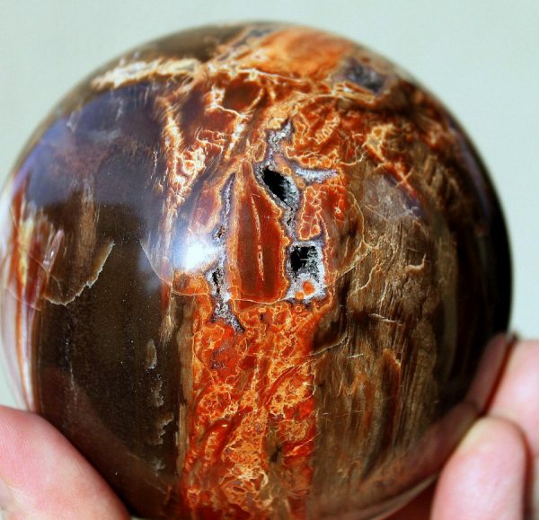 handgeschl.KUGEL - VERSTEINERTES HOLZ – Bild 2