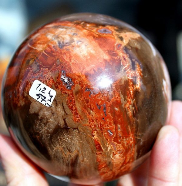 handgeschl.KUGEL - VERSTEINERTES HOLZ – Bild 3