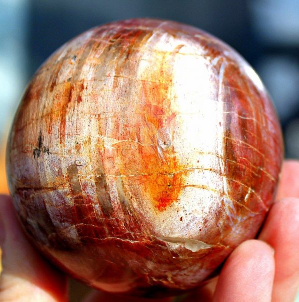 Kugel VERSTEINERTES HOLZ – Bild 2